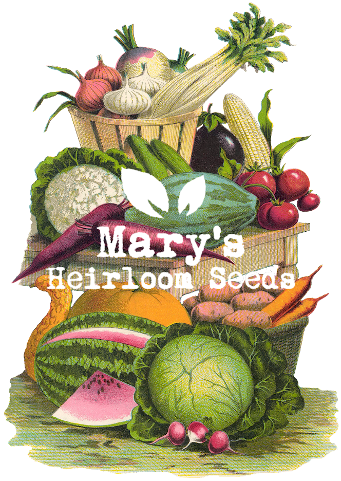 Heirloom Seeds Mystery Grab bag