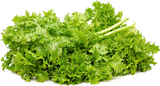 Wasabi Mustard Greens