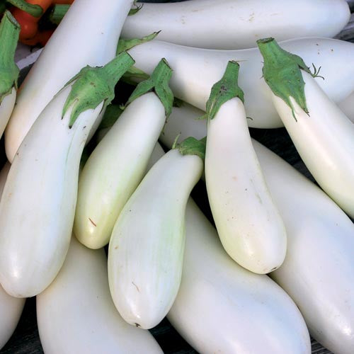 Casper Eggplant