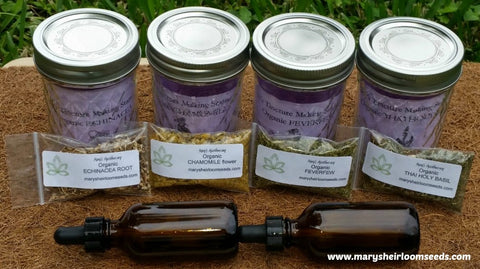 Herbal Remedy Starter Kit-4