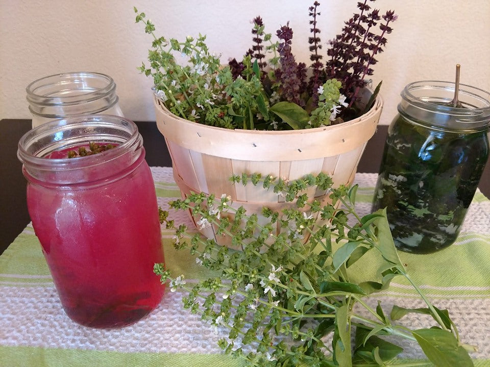 Mary's Basil Seed Collection