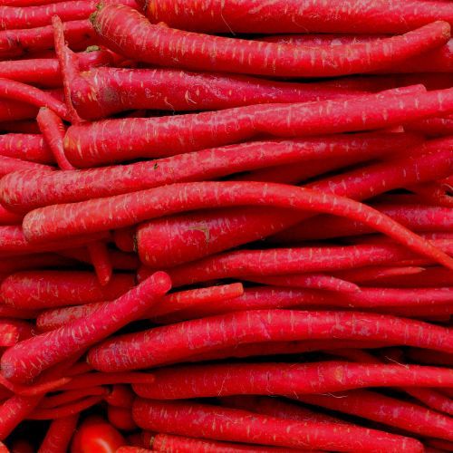 Kyoto Red Carrot