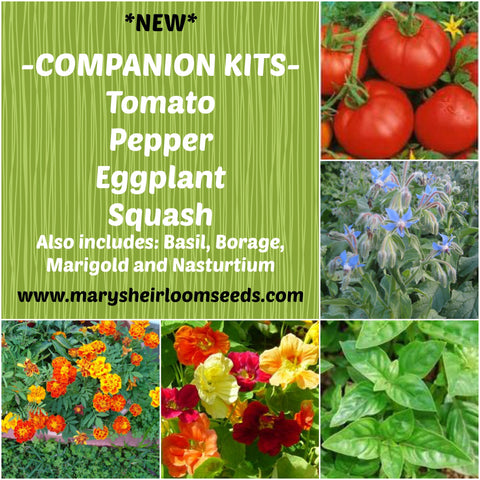 Companion Planting Combo Pack