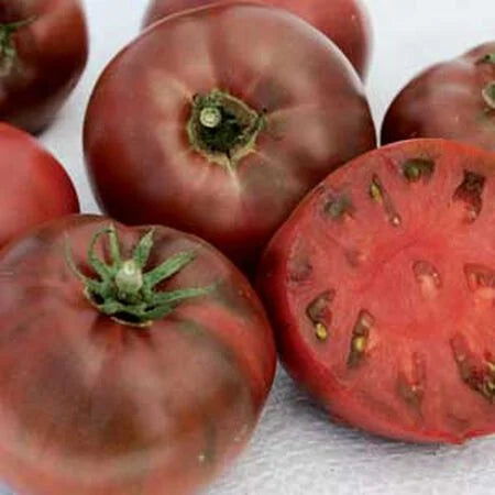 Carbon Tomato