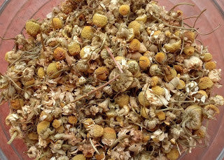 chamomile seeds from flower Chamomile Flowers – Mary's Heirloom Seeds