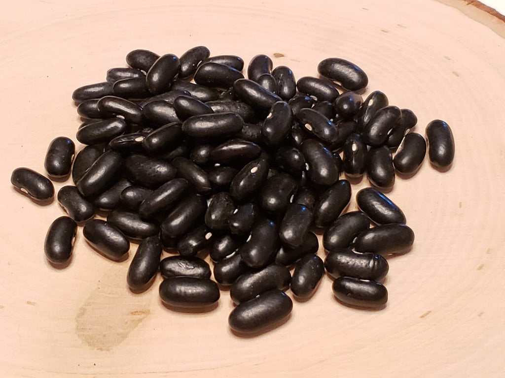 Cherokee Wax Bush Beans