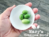 Mexican Sour Gherkin Cucumber