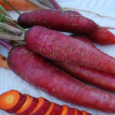 Dragon Carrots