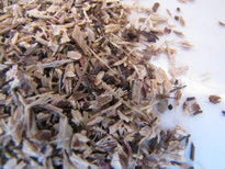 Echinacea Herb Kit