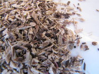 Echinacea Purpurea  Mary's Heirloom Seeds