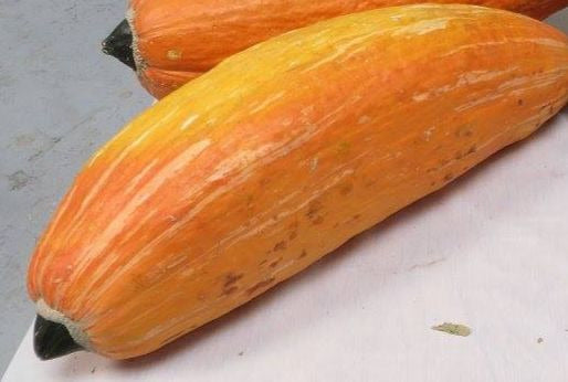 Gete Okosomin Squash