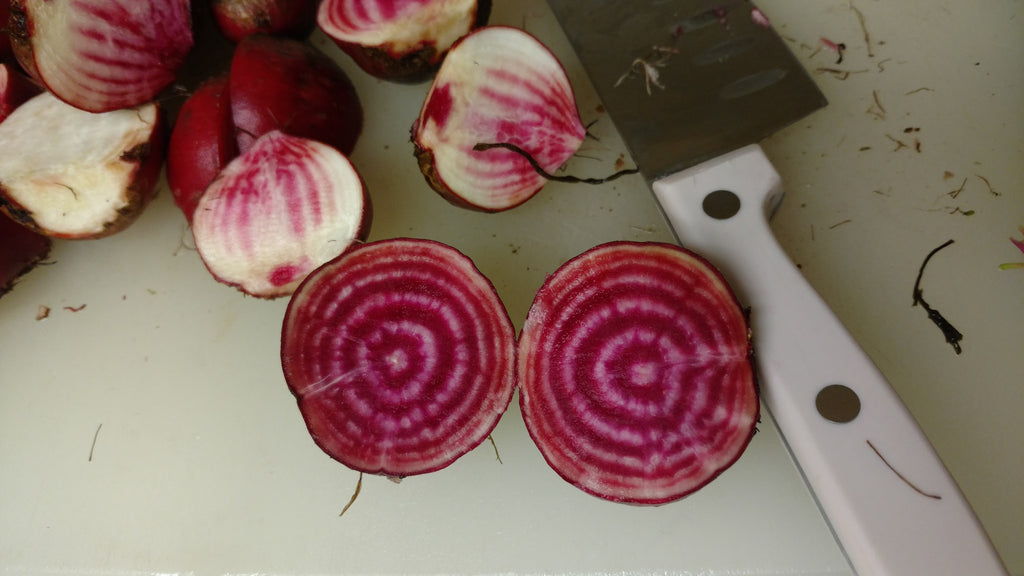 Chioggia Beet