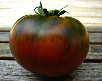 Paul Robeson Tomato