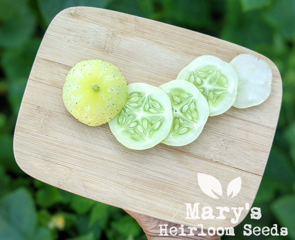 Lemon Cucumber