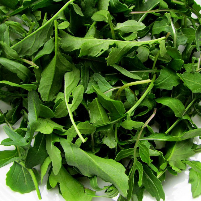 Arugula, Roquette Organic Seeds