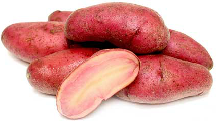 Red Thumb Fingerling Organic Potato
