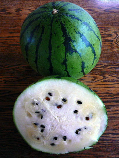 Cream of Saskatchewan Watermelon