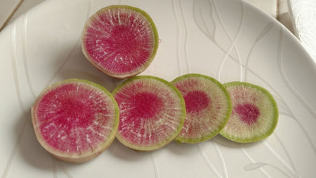 Watermelon Radish