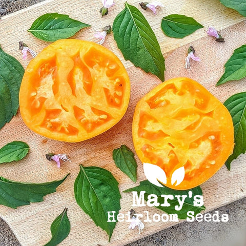 Edible Flowers combo pack – Mary's Heirloom Seeds