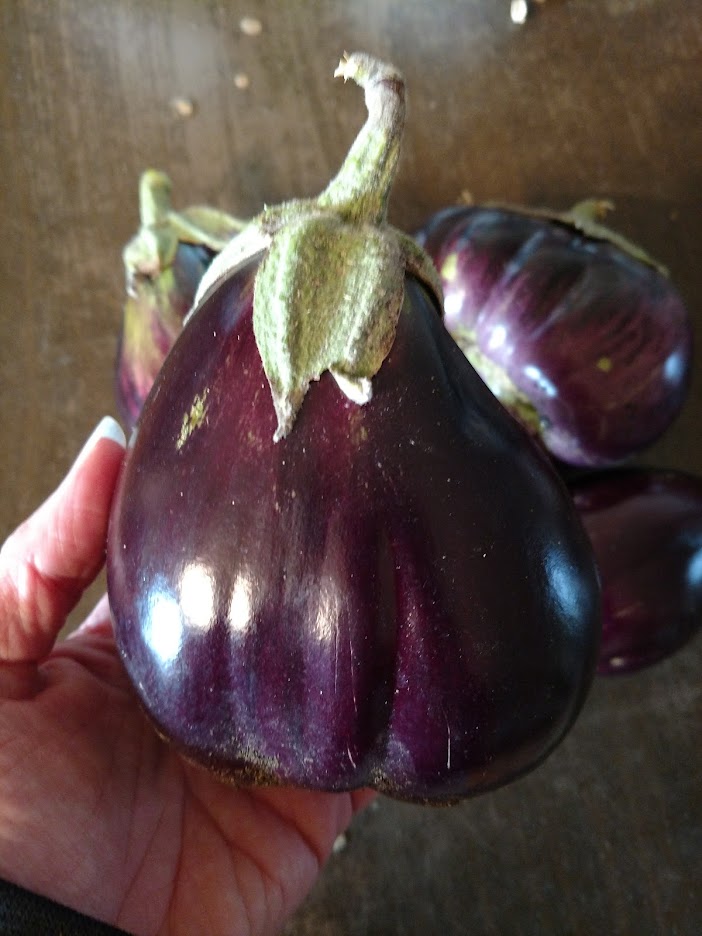 Aswad Eggplant