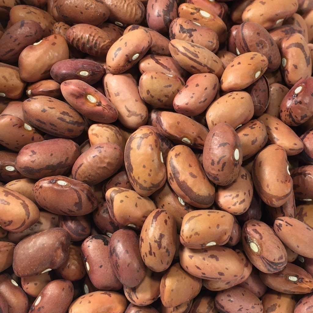 Vermont Cranberry Pole Bean