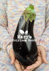 Black Beauty Eggplant