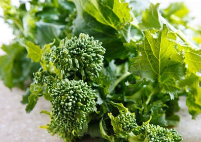 Spring Raab Rapini Broccoli