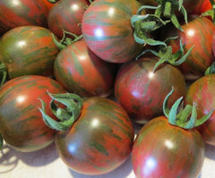 Black Vernissage Tomato