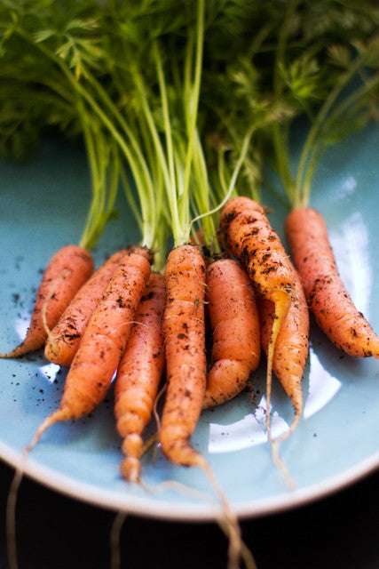 Little Finger Carrots