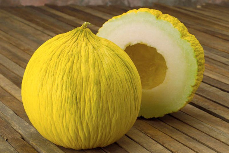 Casaba Golden Beauty Melon