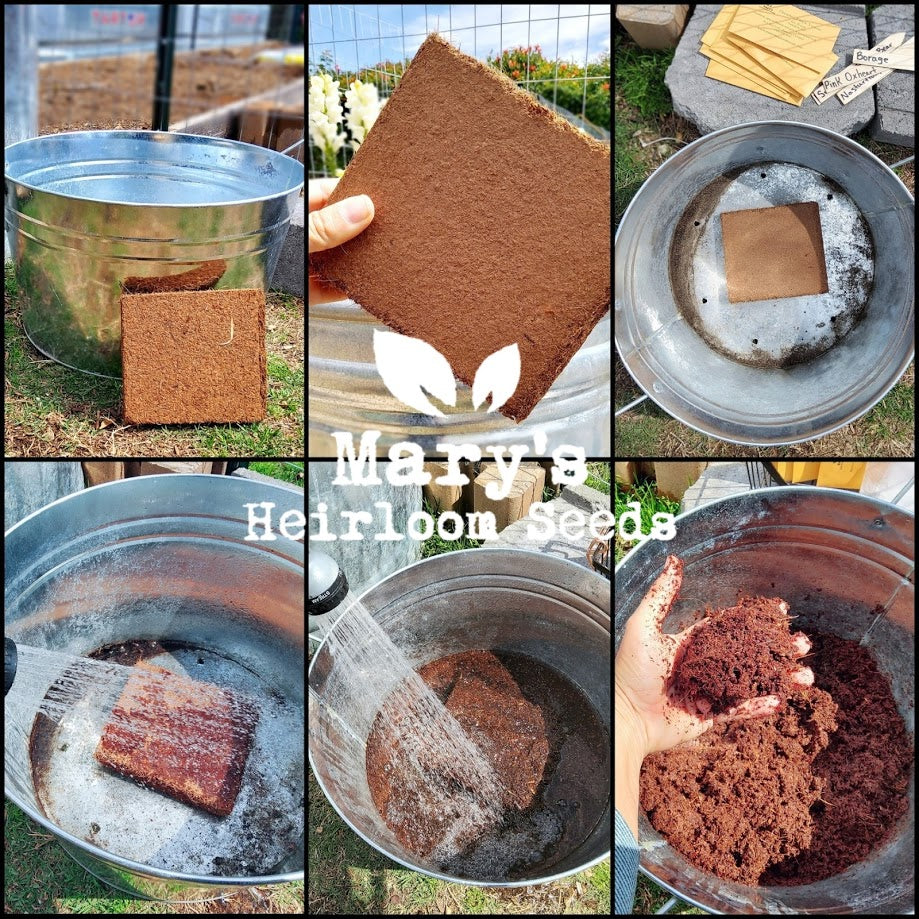 Coconut Coir Bricks