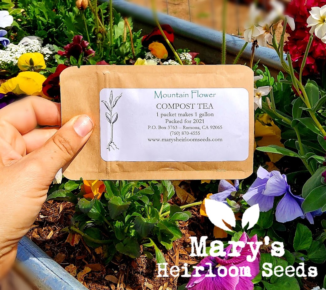 plant seeds in tea bags Mountain Flower