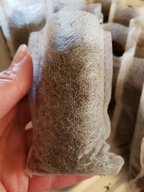 DIY Starter Pods-100