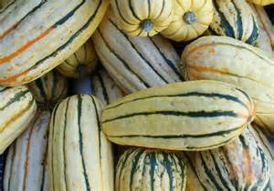 Delicata Squash