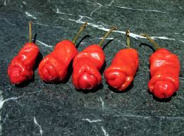 Peter Pepper – Mary's Heirloom Seeds