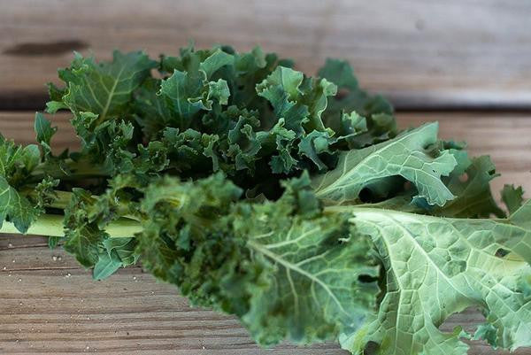 Dwarf Siberian Kale