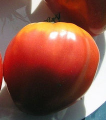 German Red Strawberry Tomato