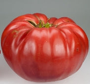 German Giant Tomato