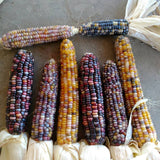 Glass Gem Corn