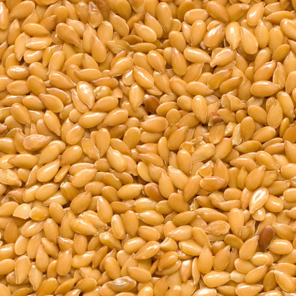 where to buy flax seed for planting Golden Flax