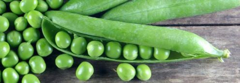 Green Arrow Pea