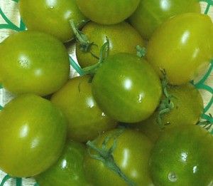 Green Grape Tomato