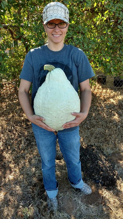 Hubbard Blue Squash