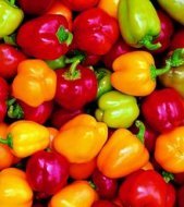 Baby Bell Pepper Mix