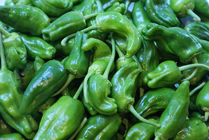 Padron Pepper