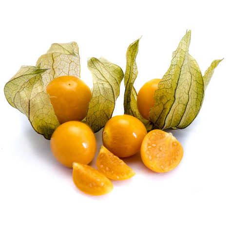 Cape Gooseberry