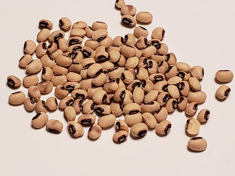 Purple Hull Pinkeye Cowpea