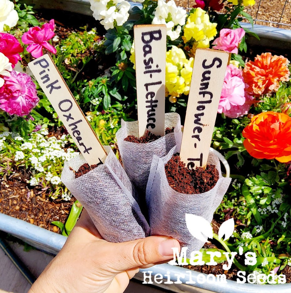 Bamboo Plant Labels