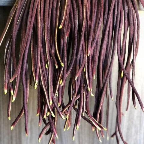 Yard Long Bean - Purple Mart Tsu In