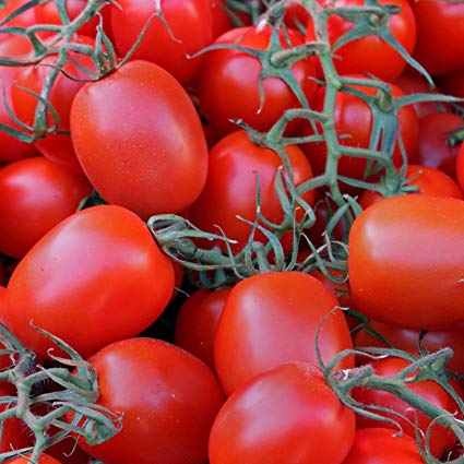 Rio Grande Tomato